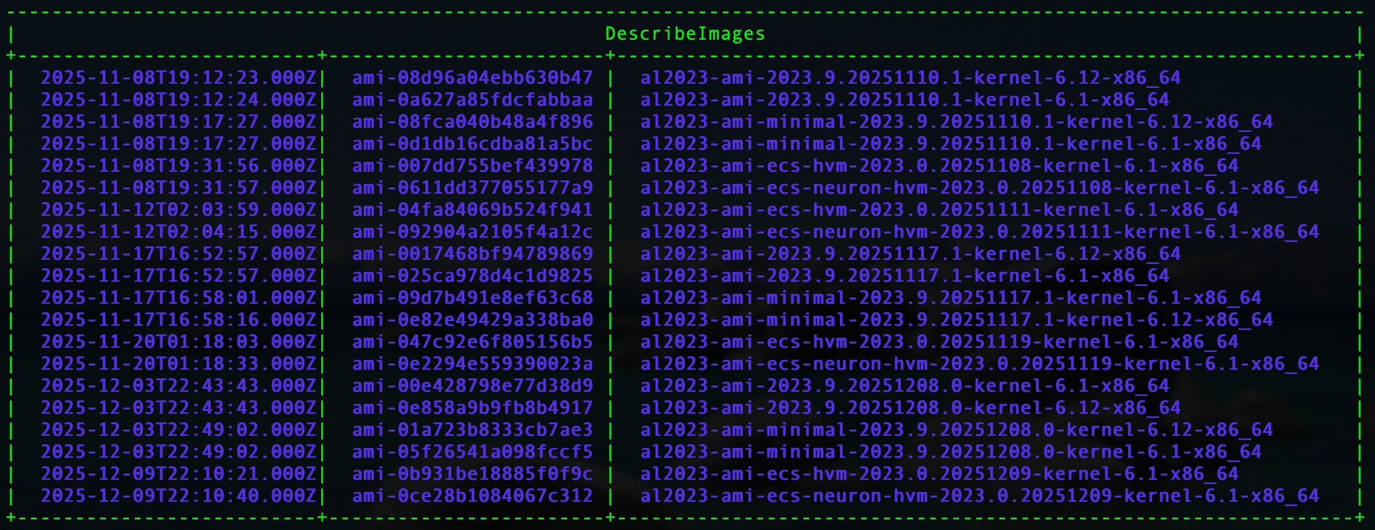 Screenshot: AWS CLI output showing AMI list